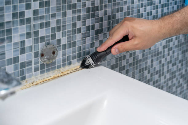 Best Preventive Mold Services in Lake Marcel Stillter, WA