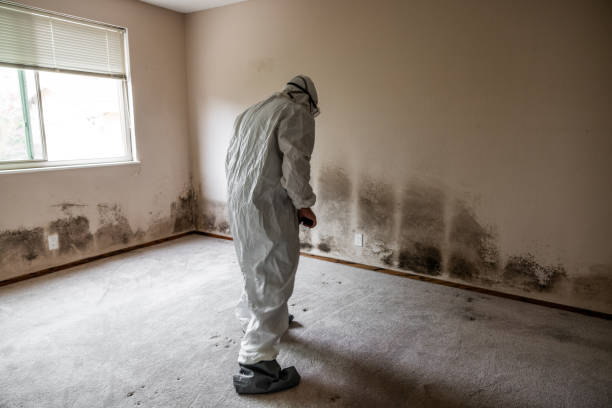 Best Residential Mold Remediation in Lake Marcel Stillter, WA